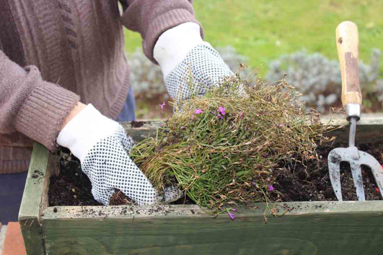 Hands doing some gardening